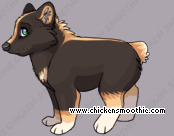 Pet