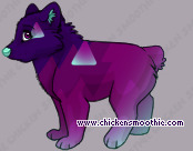 Pet