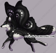 Pet