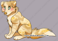 Pet