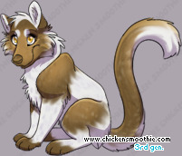 Pet
