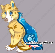 Pet