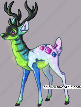 Pet