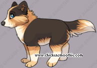 Pet