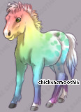 Pet