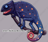 Pet