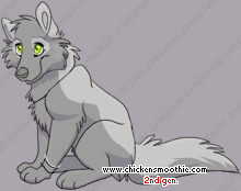 Pet