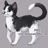 Pet