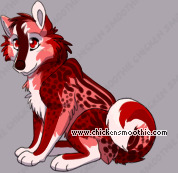 Pet