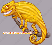 Pet
