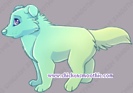 Pet