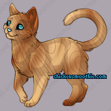 Pet