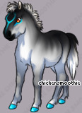 Pet