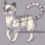 Pet