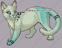 Pet