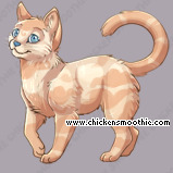 Pet