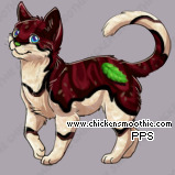 Pet