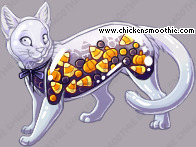 Pet