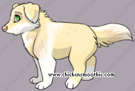 Pet