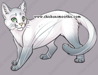 Pet