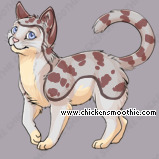 Pet