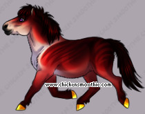 Pet
