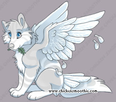 Pet
