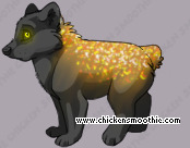 Pet