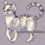 Pet