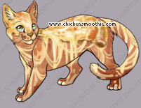 Pet