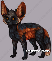 Pet