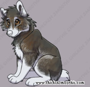 Pet