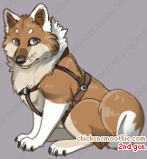 Pet