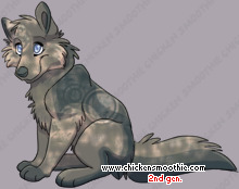 Pet