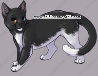 Pet