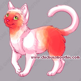 Pet