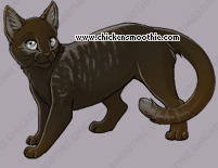 Pet