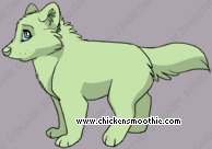 Pet