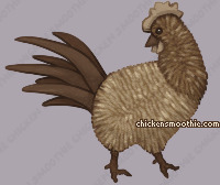 Pet
