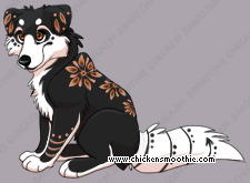 Pet