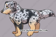 Pet