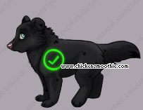 Pet