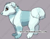 Pet
