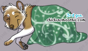 Pet