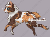 Pet