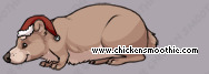 Pet