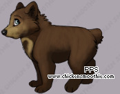 Pet