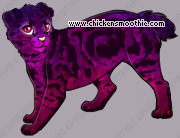 Pet