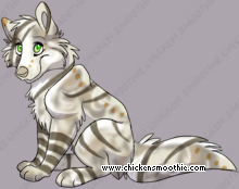 Pet