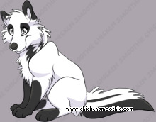Pet
